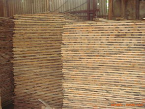 匠心筑夢，木韻流芳——走進駿起木業(yè)加工廠